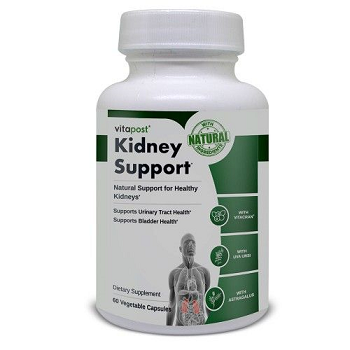 kidney support